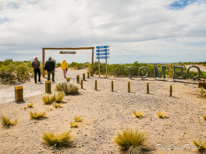 50 tombo thesanetravel.comP1263880