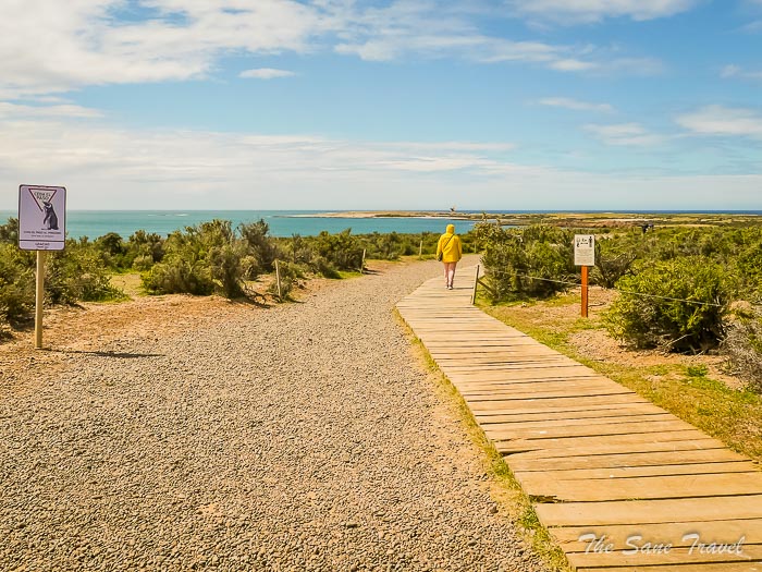 55 tombo thesanetravel.comP1263910