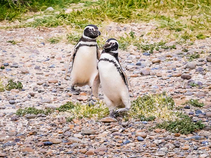 62 tombo thesanetravel.comP1263981