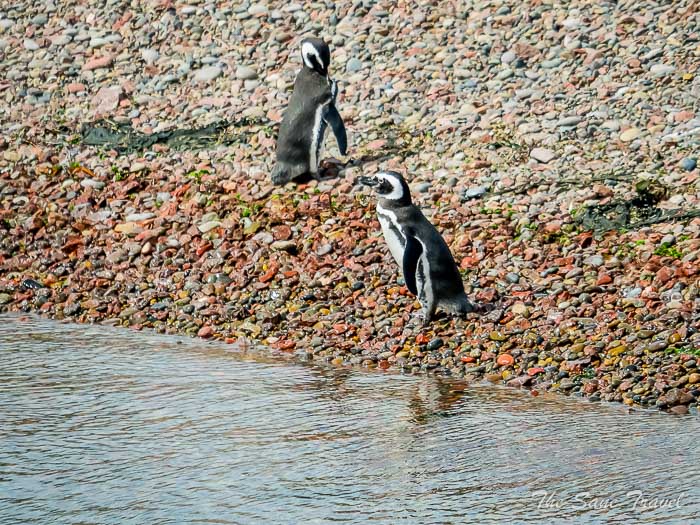 64 tombo thesanetravel.comP1264002