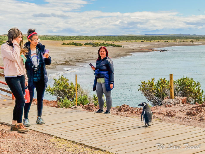 69 tombo thesanetravel.comP1264081