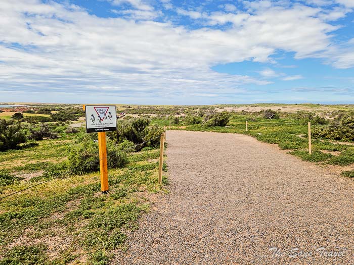 76 tombo thesanetravel.com20221020 141301