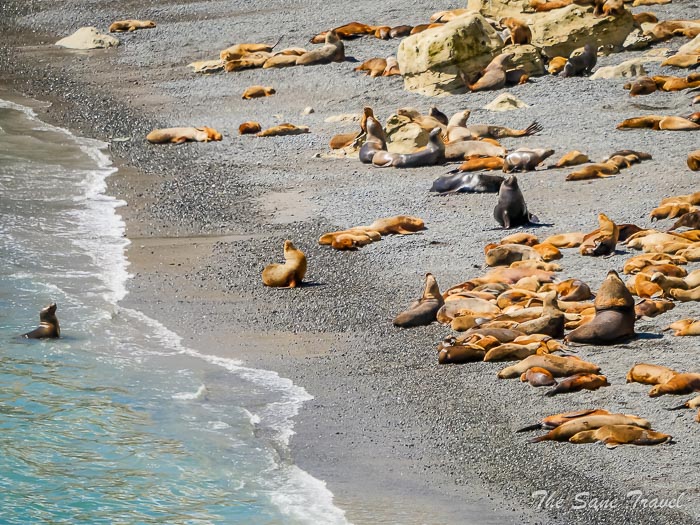 86 punta loma thesanetravel.comP1264147