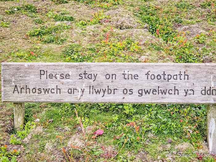 44 practical skomer thesanetravel.com20220614 132207