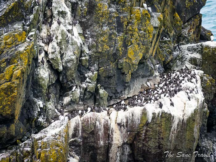 70 other skomer thesanetravel.comP1205455