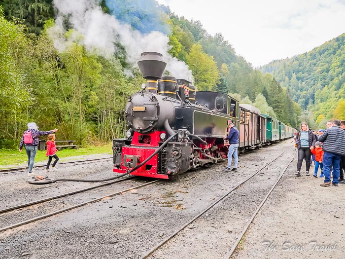 193 steam train thesanetravel.comP1347955