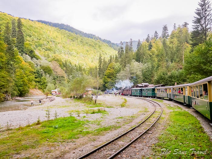 198 steam train thesanetravel.comP1347999