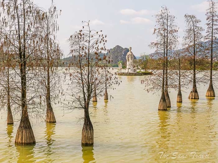 121 trees thesanetravel.com P1556346