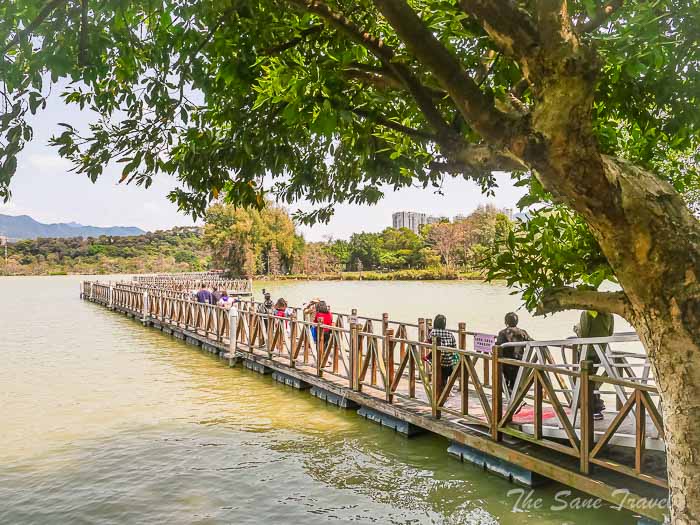 39wetland park thesanetravel.com P1556271