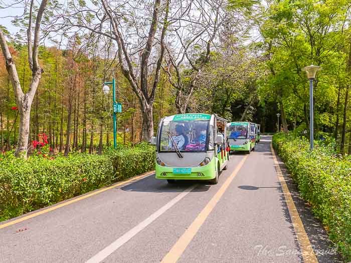 74walk and caves thesanetravel.com P1556417