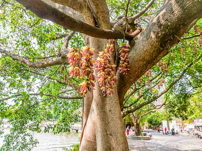 77walk and caves thesanetravel.com P1556426