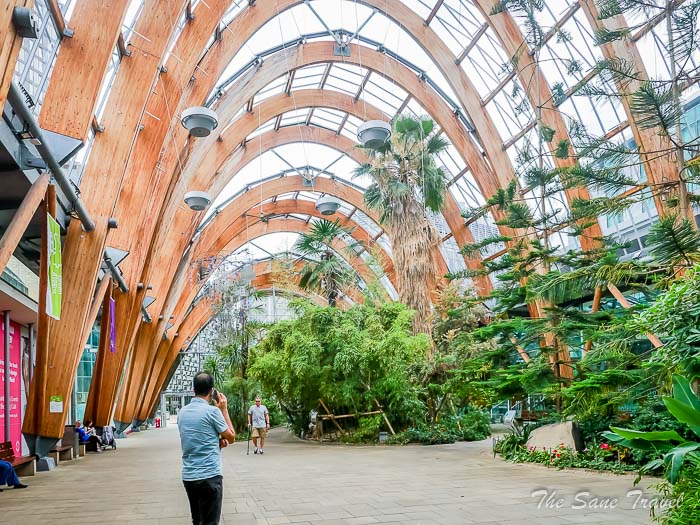 20 winter garden thesanetravel.com P1334695