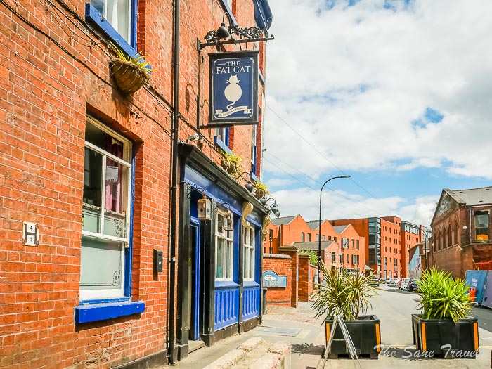 60 fat cat thesanetravel.com P1344907