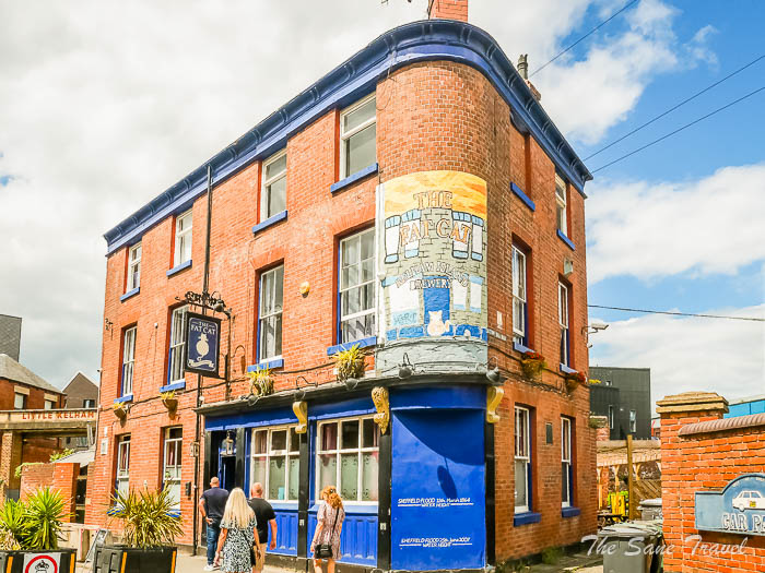 61 fat cat thesanetravel.com P1344909