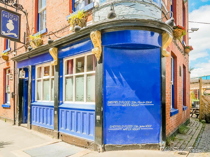 62 fat cat thesanetravel.com P1344969