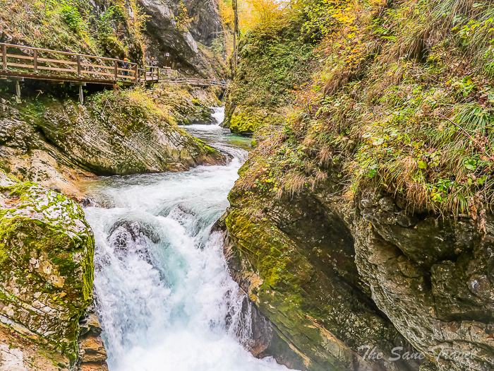 111 vintgar thesanetravel.com P1660887