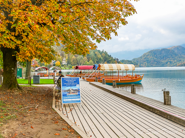 116 bledthesanetravel.com P1671068