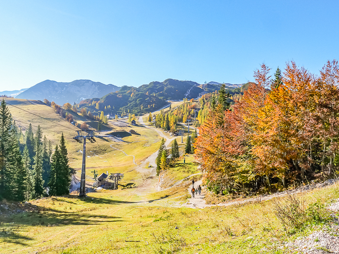 95 vogel thesanetravel.com P1660555