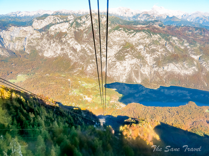 97 vogel thesanetravel.com P1660601