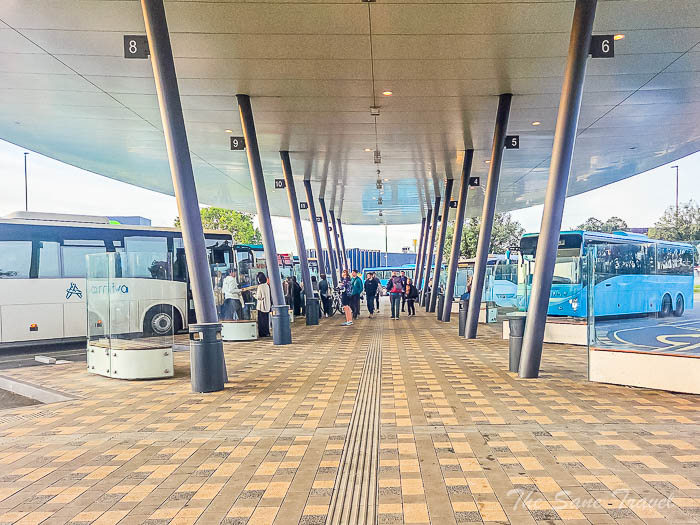 102buses from mobile thesanetravel.com 20251011 180402