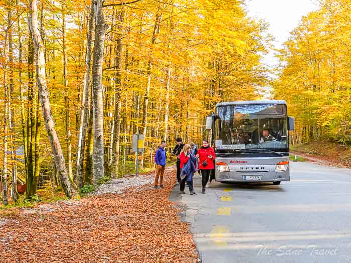 56bled bohinj buses thesanetravel.com P1660535
