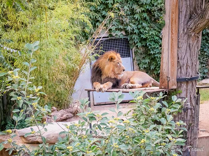 14 wilhelma stuttgart thesanetravel.comP1240834