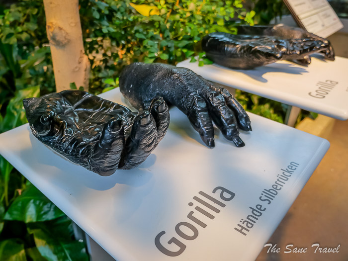 15 wilhelma stuttgart thesanetravel.comP1240858