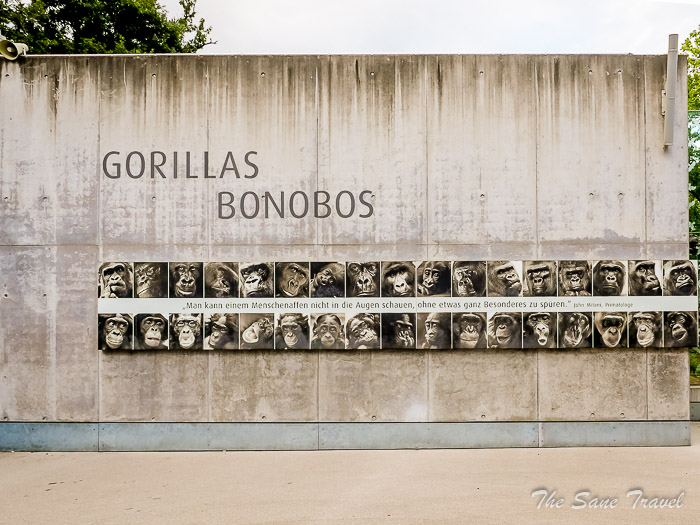 16 wilhelma stuttgart thesanetravel.comP1240859