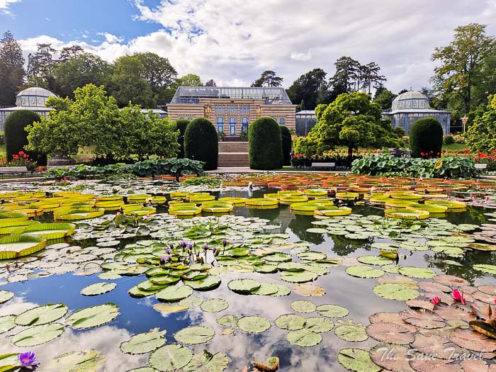 18 wilhelma stuttgart thesanetravel.com20220909 164908