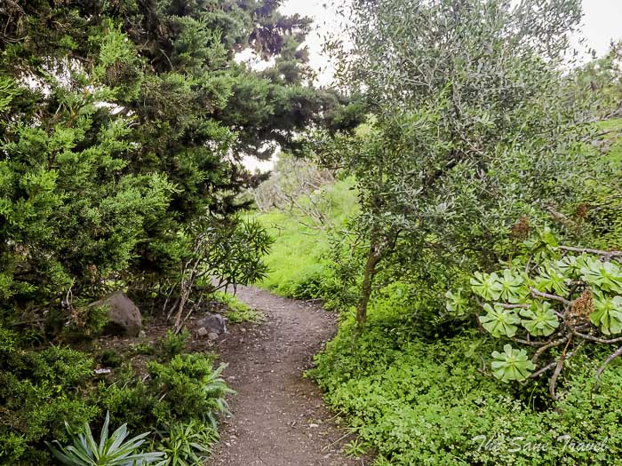 70 bandama thesanetravel.comP1286854