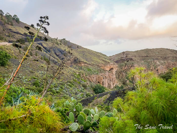 75 bandama thesanetravel.comP1286856