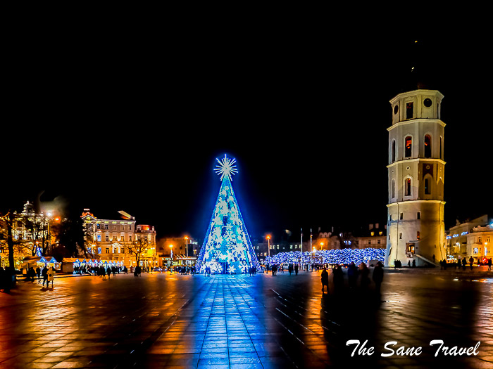 100 vilnius christmas tree thesanetravel.com P1156559
