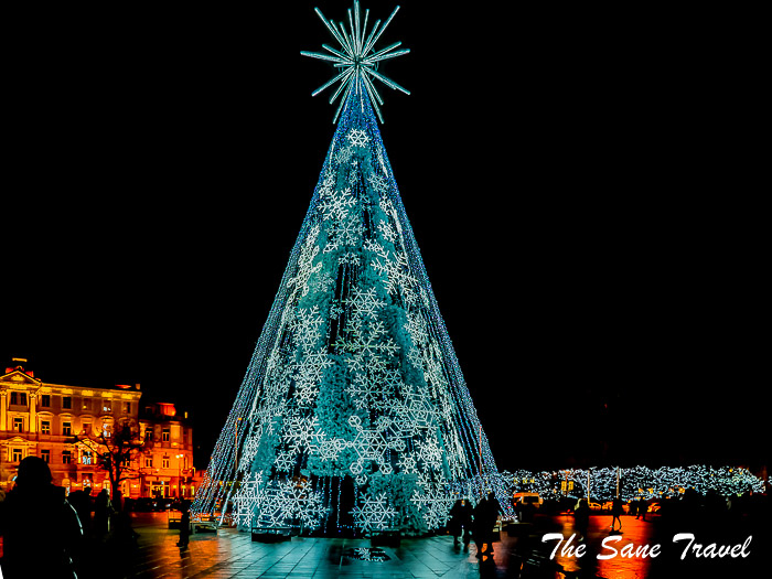 101 vilnius christmas tree thesanetravel.com P1156568