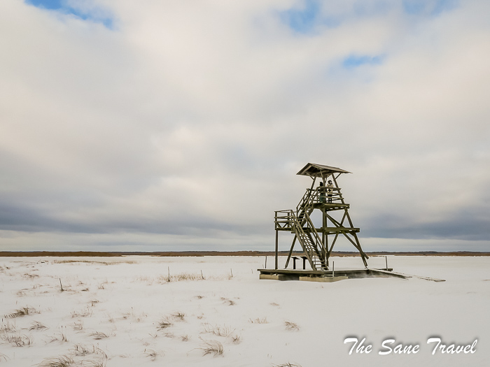 25 engure thesanetravel.com P1011849