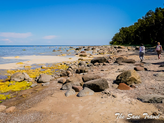 38 roja jurtaka thesanetravel.com P1030079