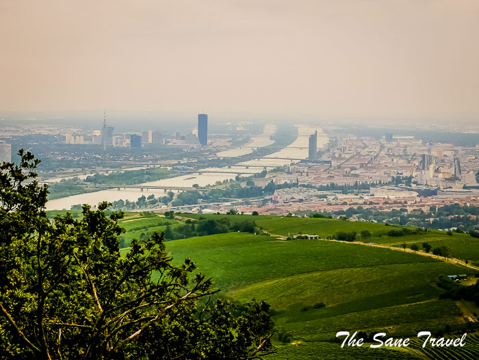 45 kahlenberg vienna thesanetravel.com P1780176