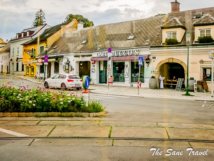 46 kahlenberg vienna thesanetravel.com P1780195