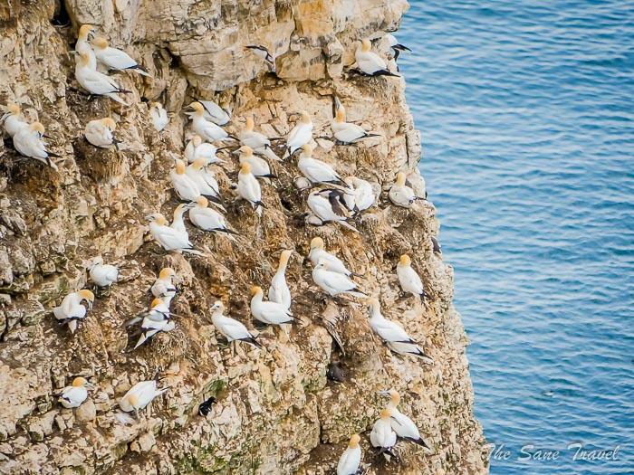 83 bempton thesanetravel.com P1334338