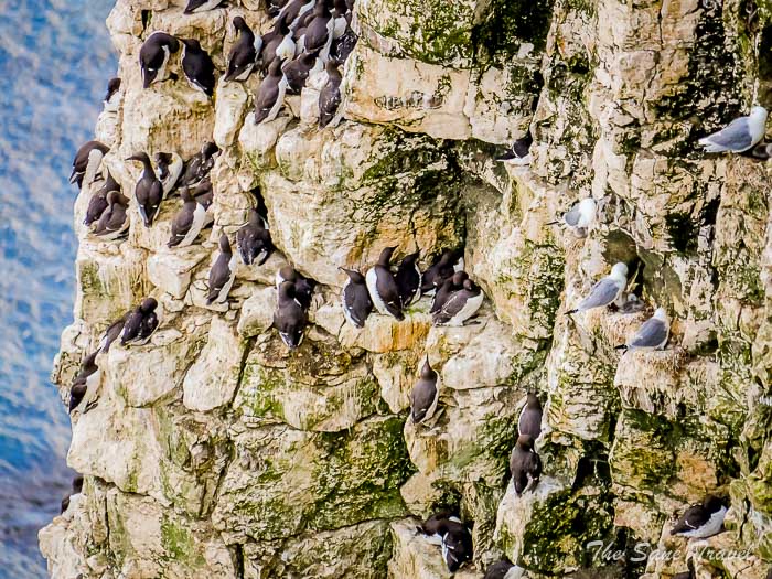 84 bempton thesanetravel.com P1334342