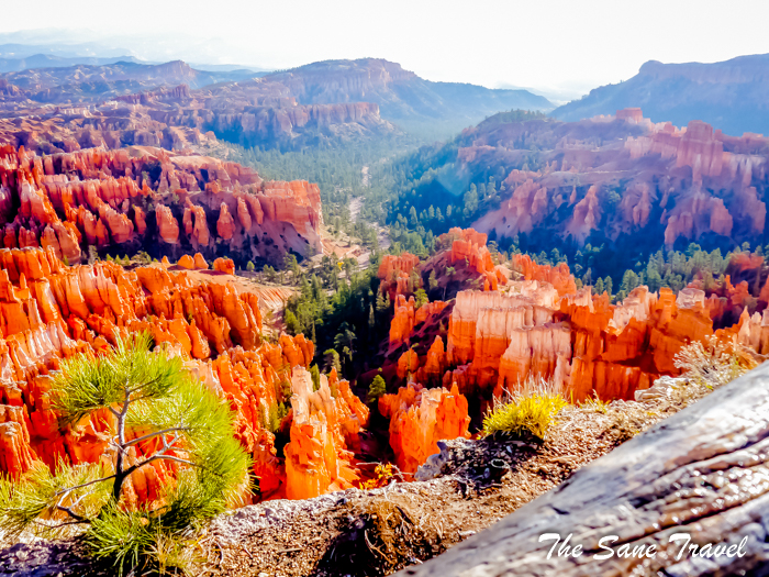 bruice canyon www.thesanetravel.com 1180745