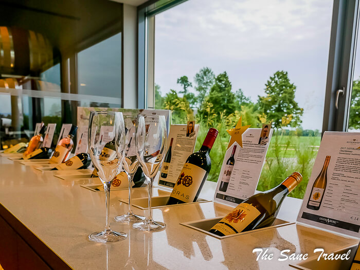 50 esterhazy eisenstadt thesanetravel com P1780538