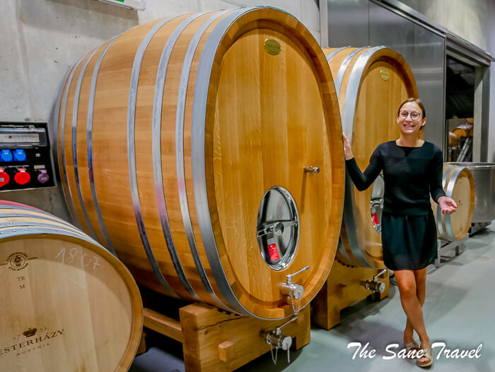 53 esterhazy eisenstadt thesanetravel com P1780550