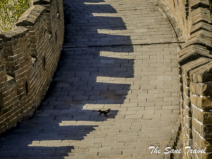45mutianyu great wall thesanetravel.com 1320140