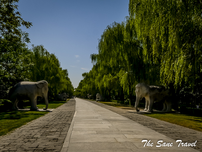 60mutianyu great wall thesanetravel.com 1320209