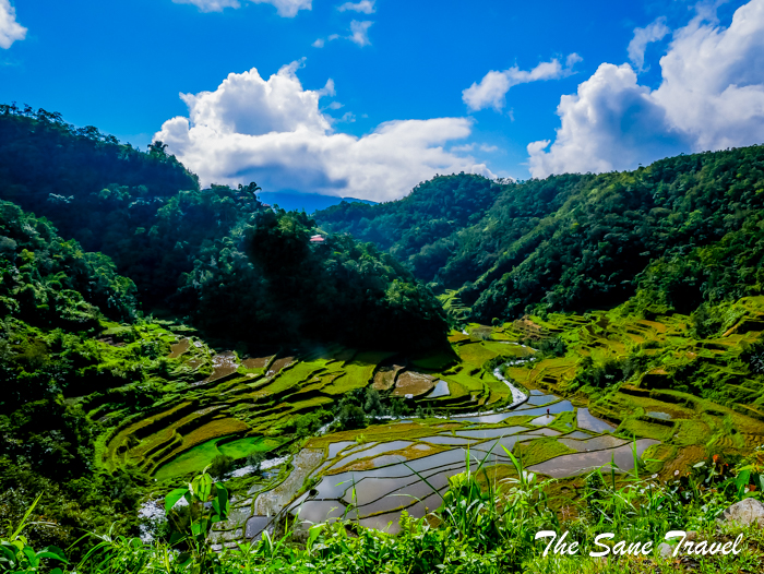 4 rice terraces philippines www.thesanetravel.com 1160548