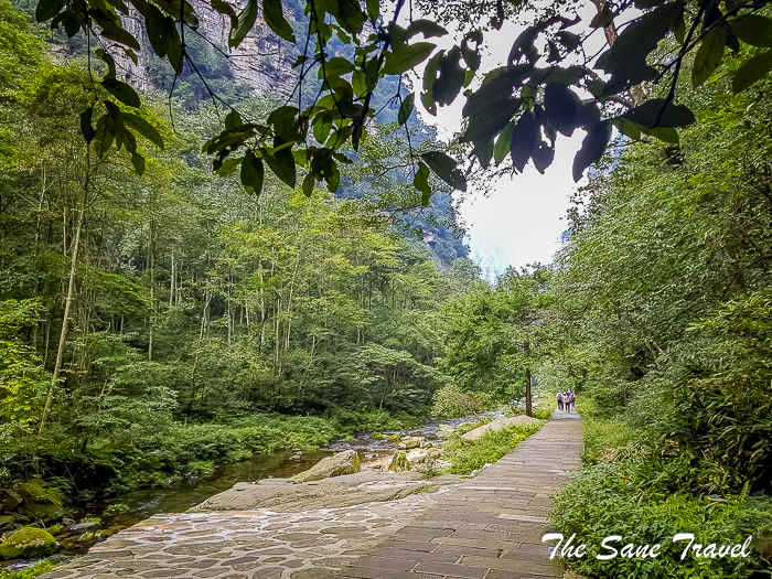 47 avatar mountains china thesanetravel.com 145749