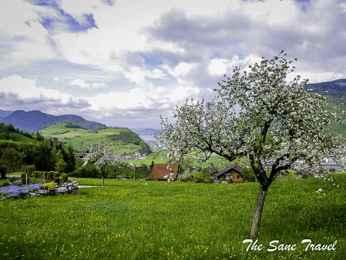 29 cabrio stansenhorn thesanetravel.com P1680883