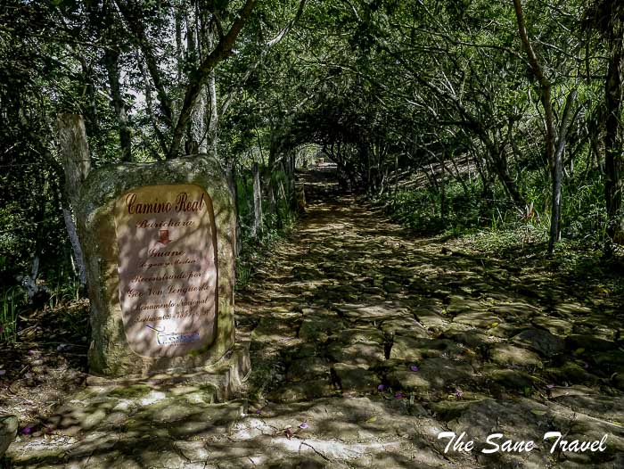 25 camino real barichara P1890668