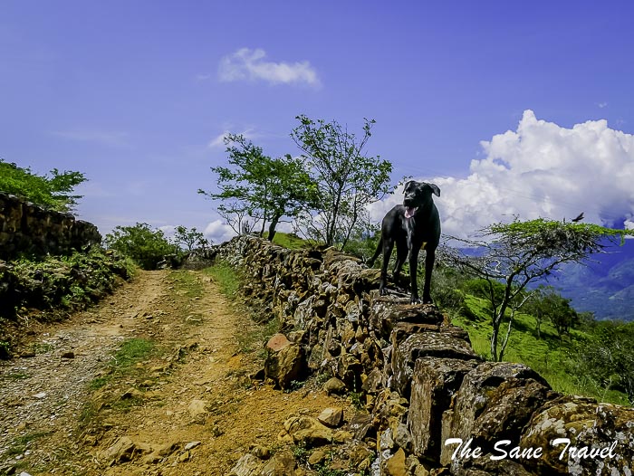 31 camino real barichara P1890707