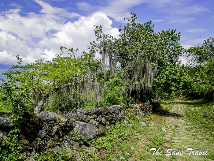 37 camino real barichara P1890734